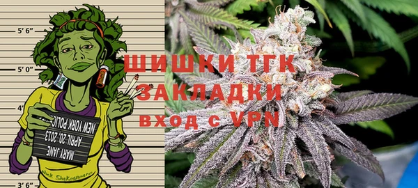 индика Мегион