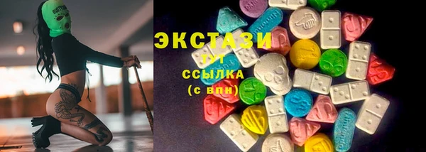 индика Мегион
