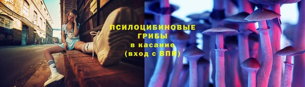 индика Мегион