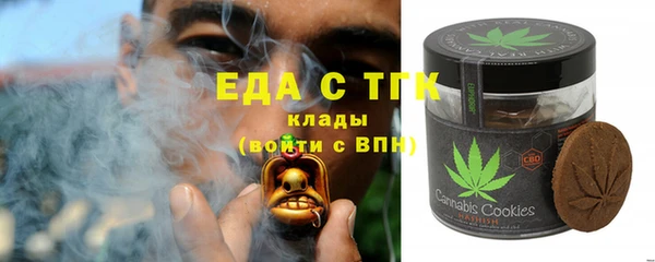 индика Мегион