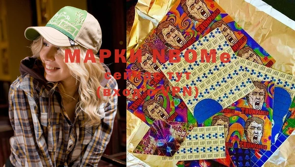 индика Мегион
