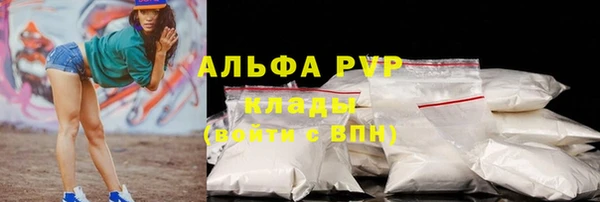 индика Мегион