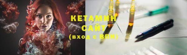 индика Мегион