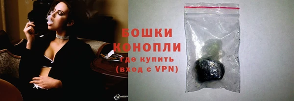 индика Мегион