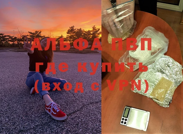 индика Мегион