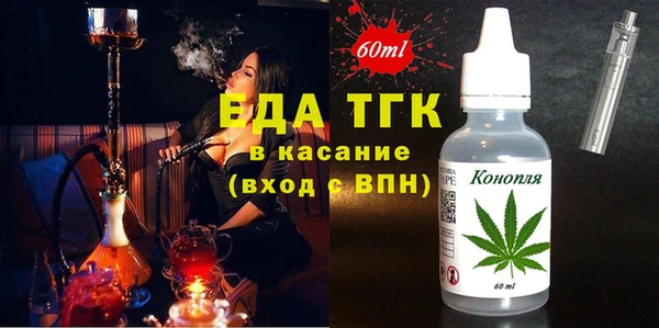 индика Мегион