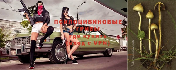 индика Мегион