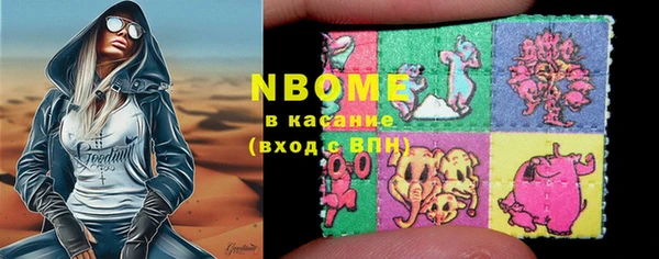 индика Мегион