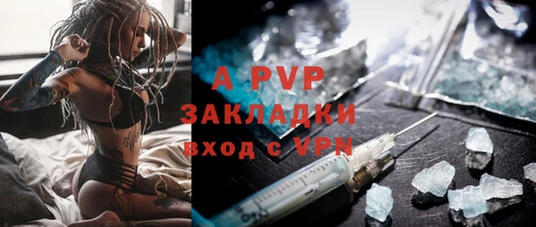 гидра Бердск
