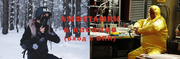 индика Мегион