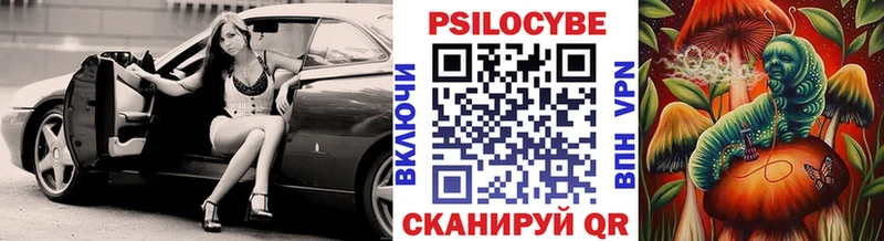 где купить наркоту  omg как зайти  Галлюциногенные грибы мицелий  Ефремов 