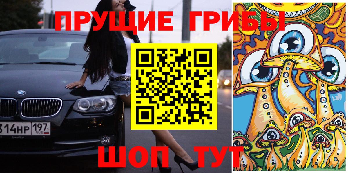 Галлюциногенные грибы Psilocybine cubensis Ефремов