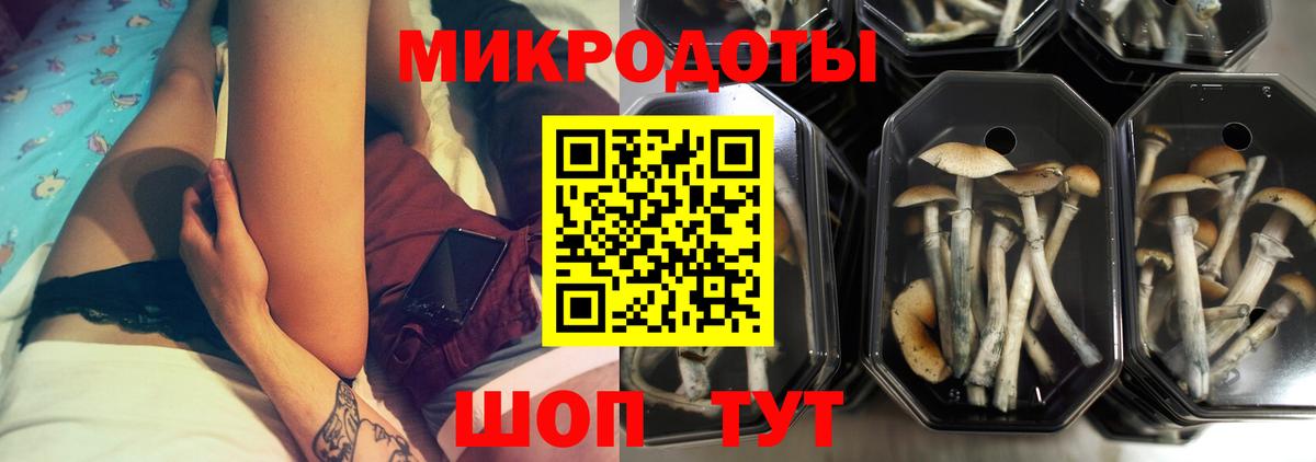 Псилоцибиновые грибы мицелий  Псилоцибиновые грибы Psilocybe  Ефремов 